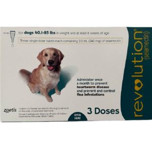 Revolution For Dogs 20.1-40kg (Teal)